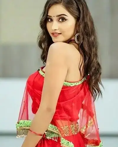 Call Girls Service Chintamani